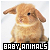  Baby Animals: 