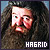 Rubeus Hagrid 'Harry Potter': 